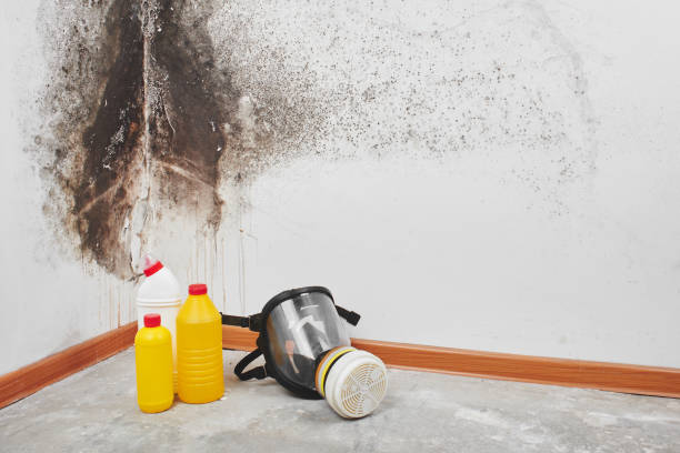 Biohazard Mold Removal in Simsbury Center, CT